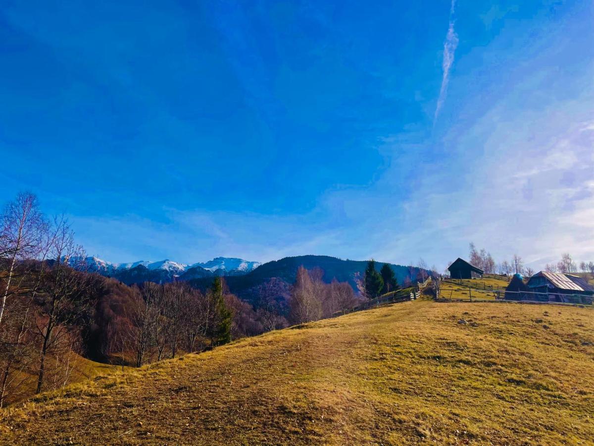 Bran Place La Odaie ชีมอน ภายนอก รูปภาพ